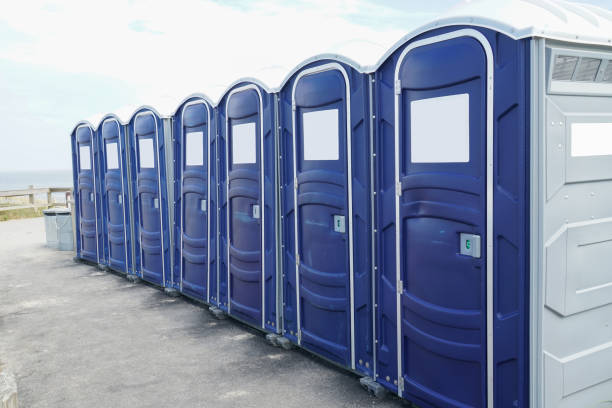 Best Portable Toilet Rental for Emergency Services  in Level Plains, AL